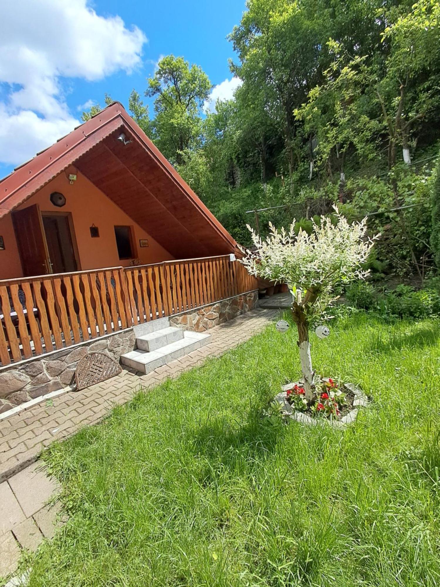 Casa Adimi Apartment Sighisoara Exterior photo